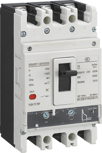 TM قابلة للتعديل قابلة للتعديل قاطع دائرة الدائرة 80a/100a/125a/160a 3p (3p+n) 0.7-1.0in